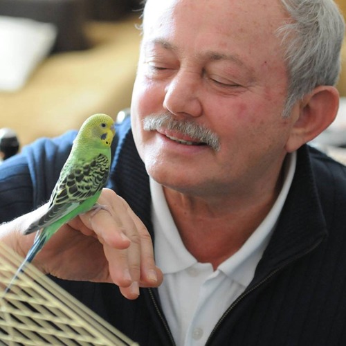 Bülent Meriç